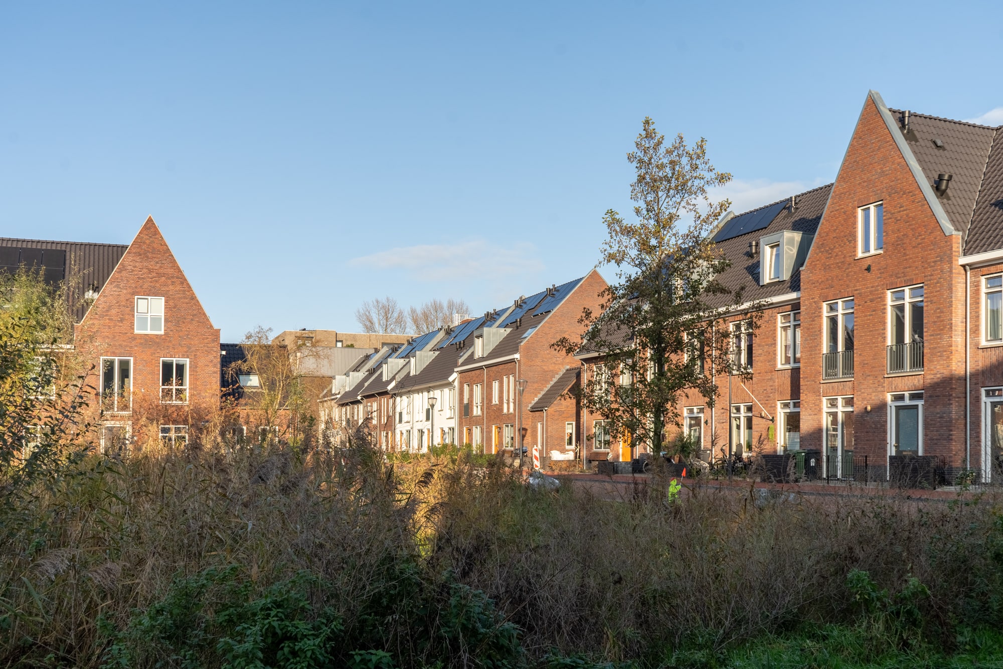 Centraal blok en twee-onder-een-kap vijverwoningen in het Vijverpark in Haarlem